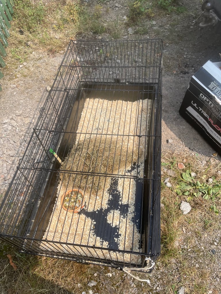 Rabbit cage 