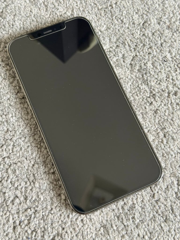iPhone 12 Pro Max and cases
