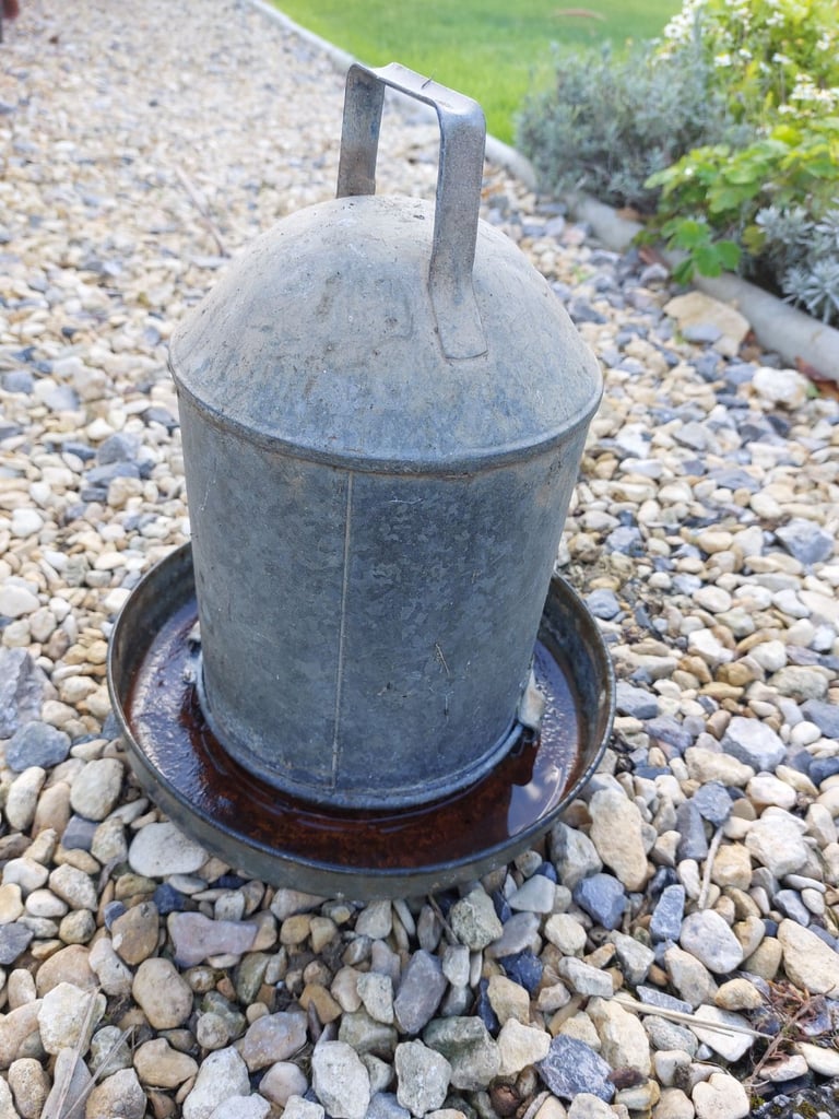 image for Vintage Galvanised Chicken water feeder