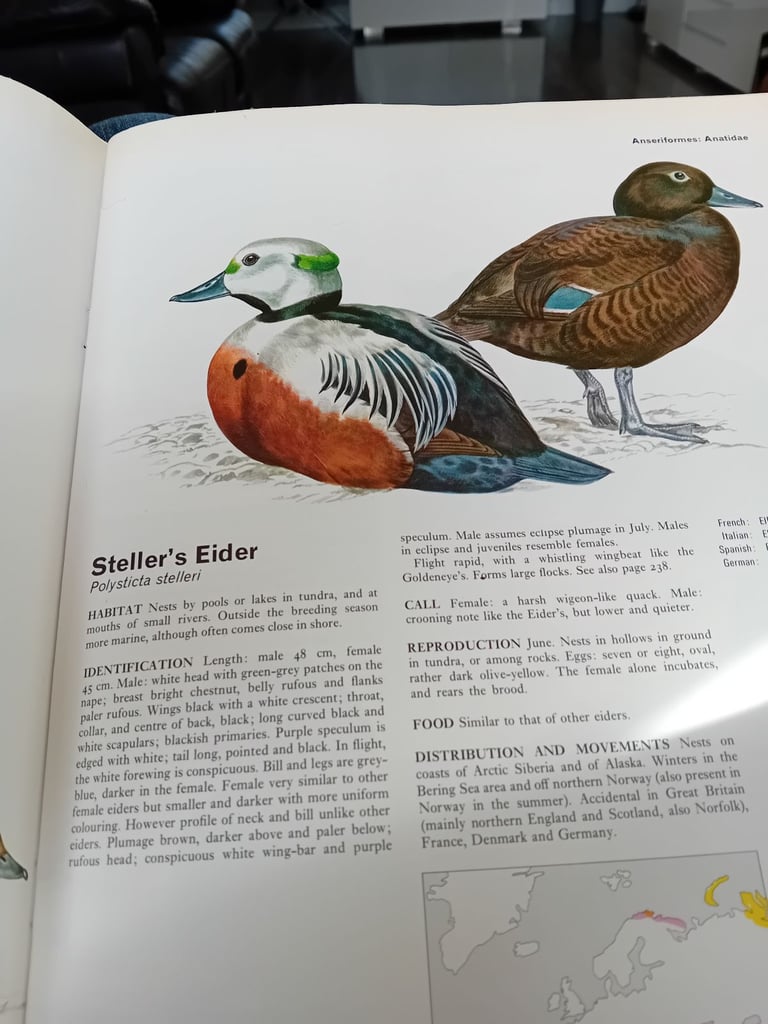 Set of five bird encyclopedia 