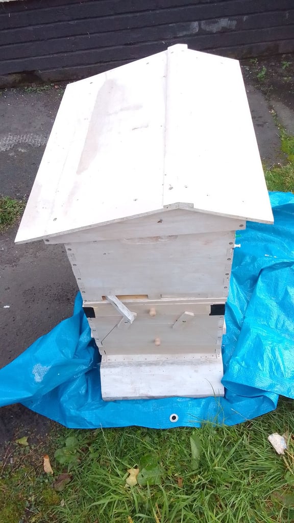 Beekeeping tap comb flow hive used