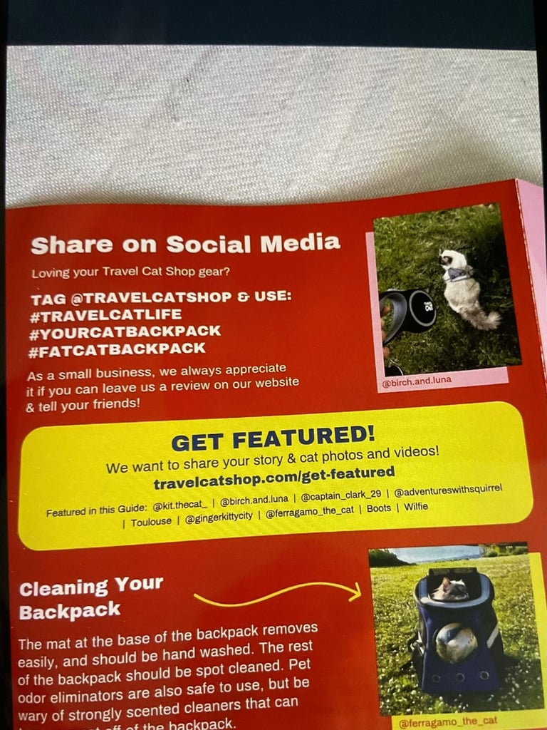 Brand New Cat Travel Backpack £50 