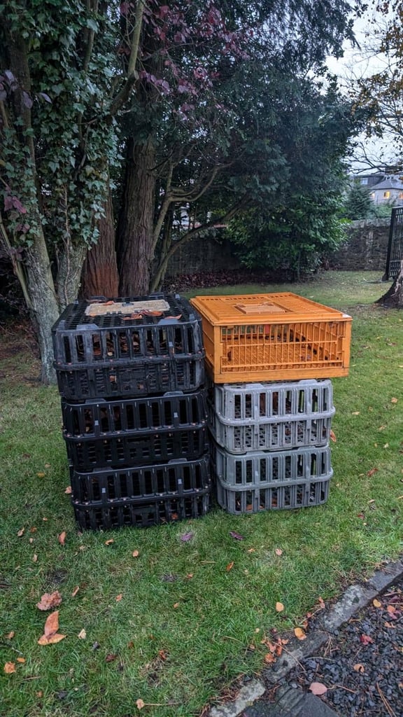 image for Poultry crates