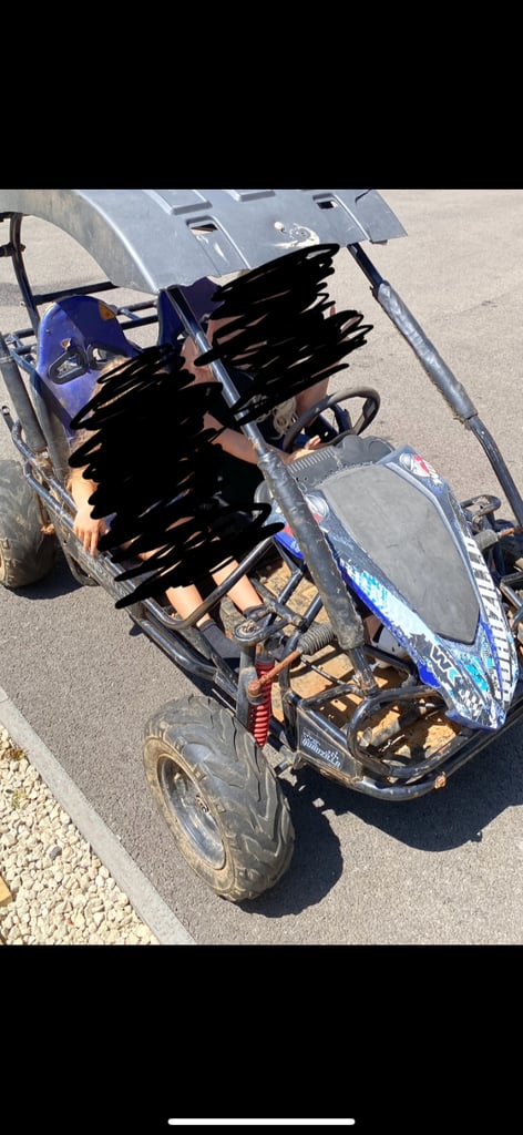 Quadzilla wolf XL off road buggy 
