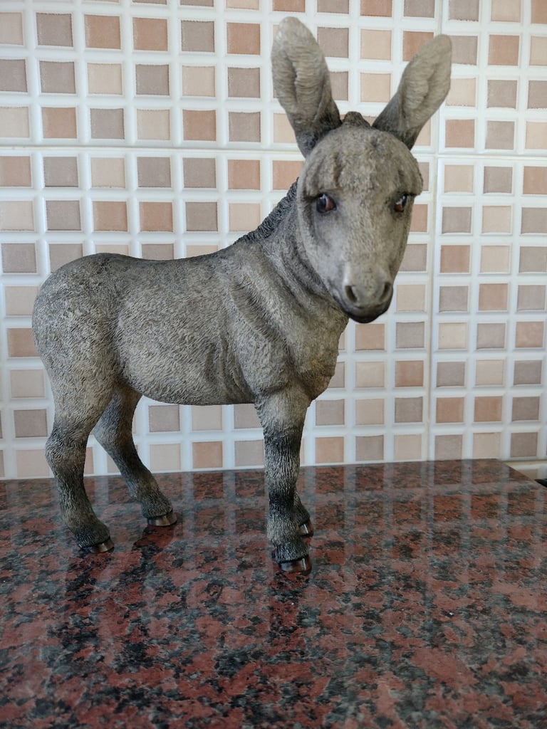 image for Donkey