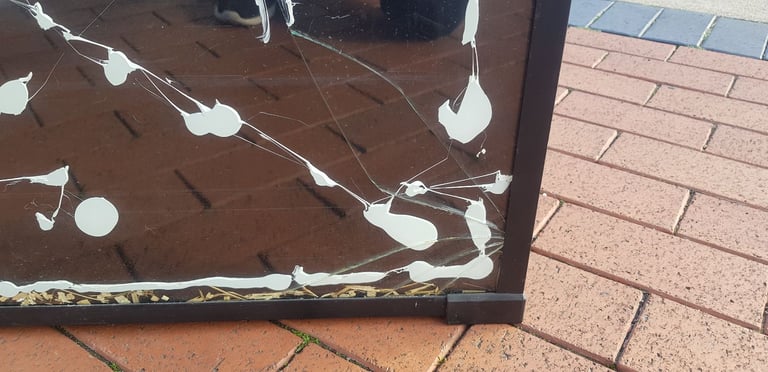 Pre-owned Komodo Glass Terrarium 
