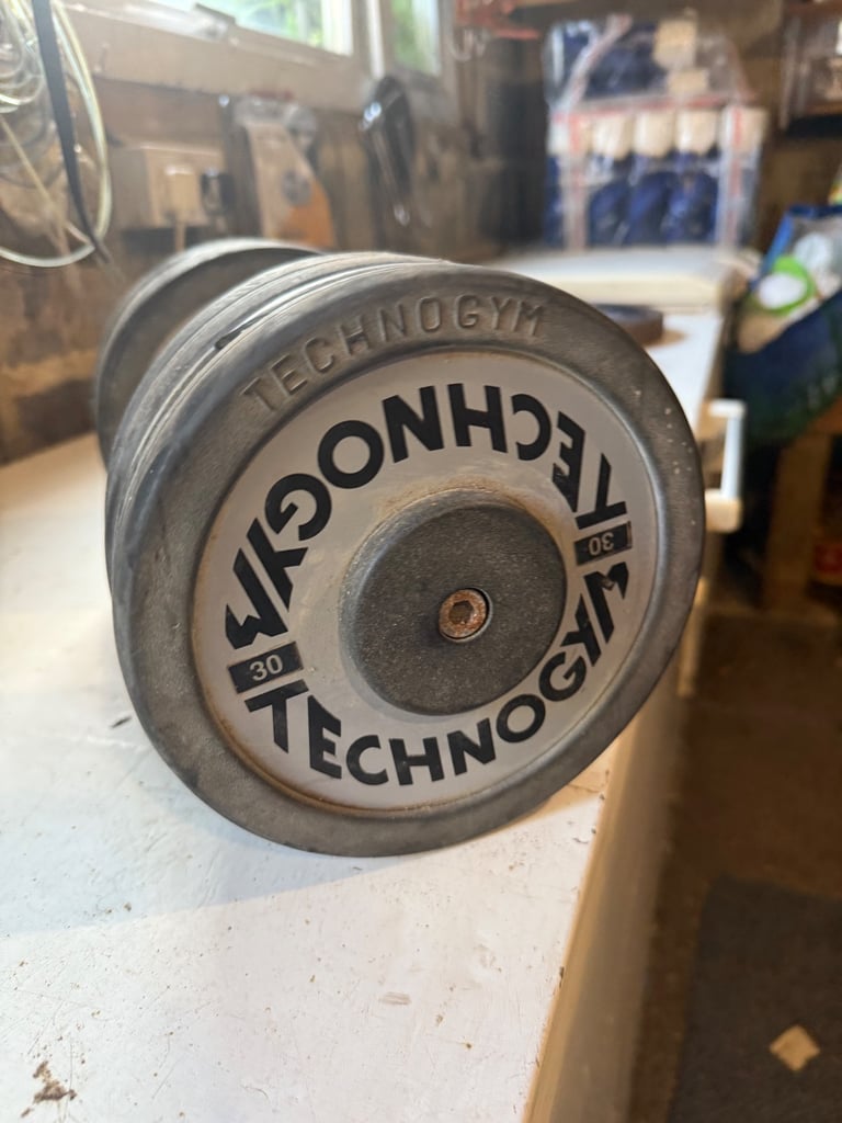 image for Technogym 30kg dumbbells 