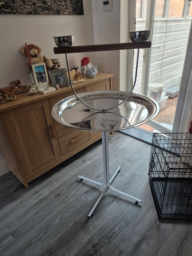 Parrot stand