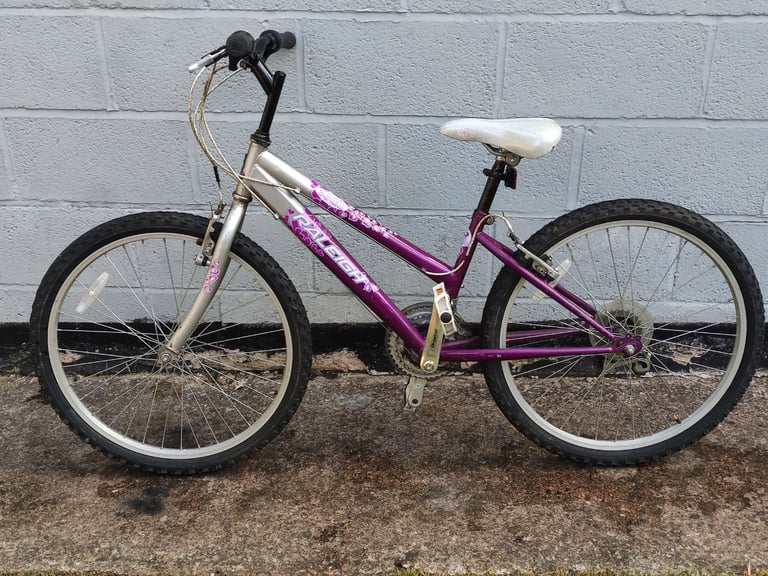 image for Raleigh Mountain Bike (Free delivery)