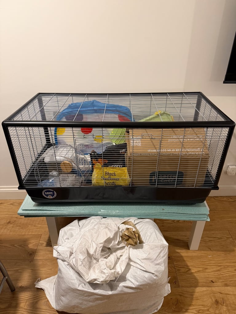 image for Hamster setup