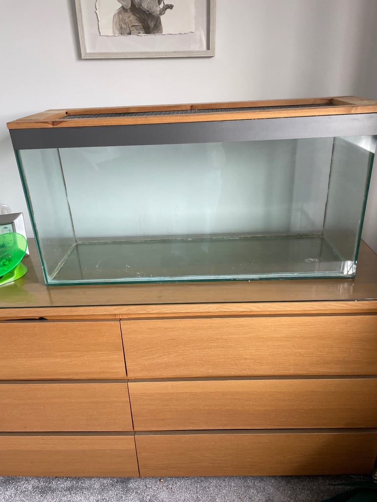 Mouse/Rodent Tank
