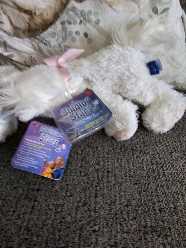 Shining star plush teddies with tags £8 each