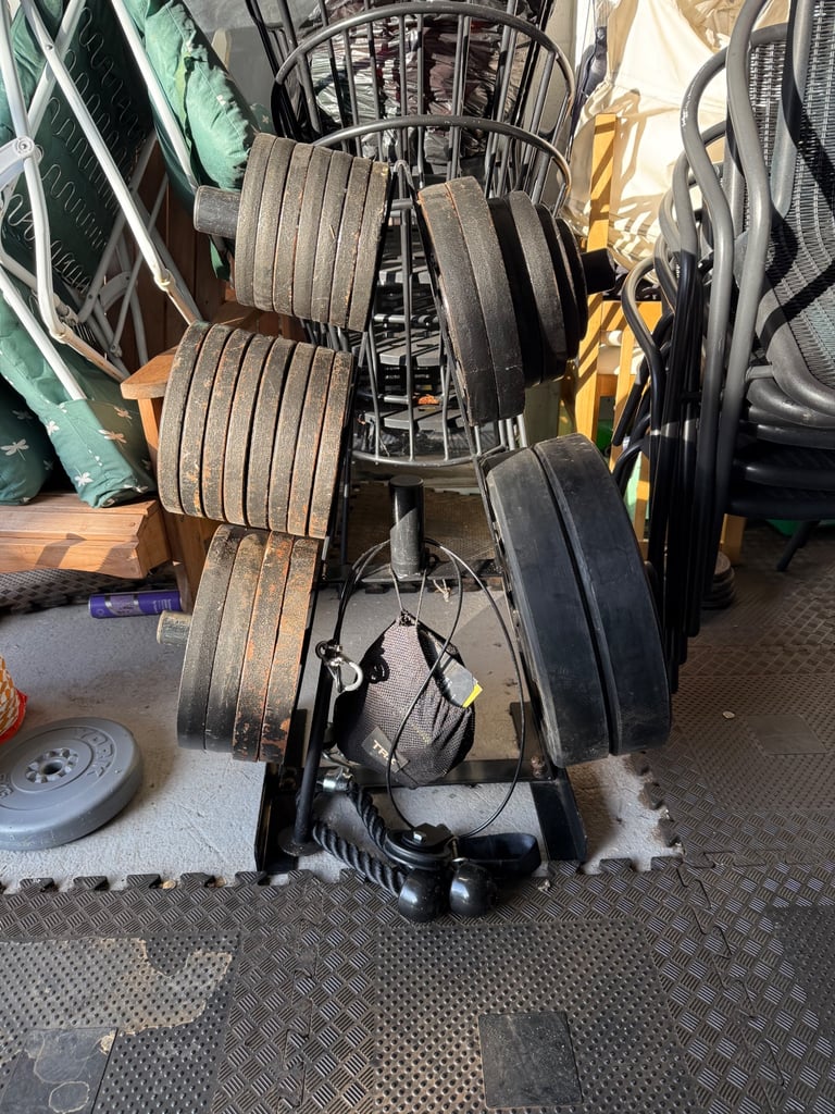 image for Various Gym Equipment 