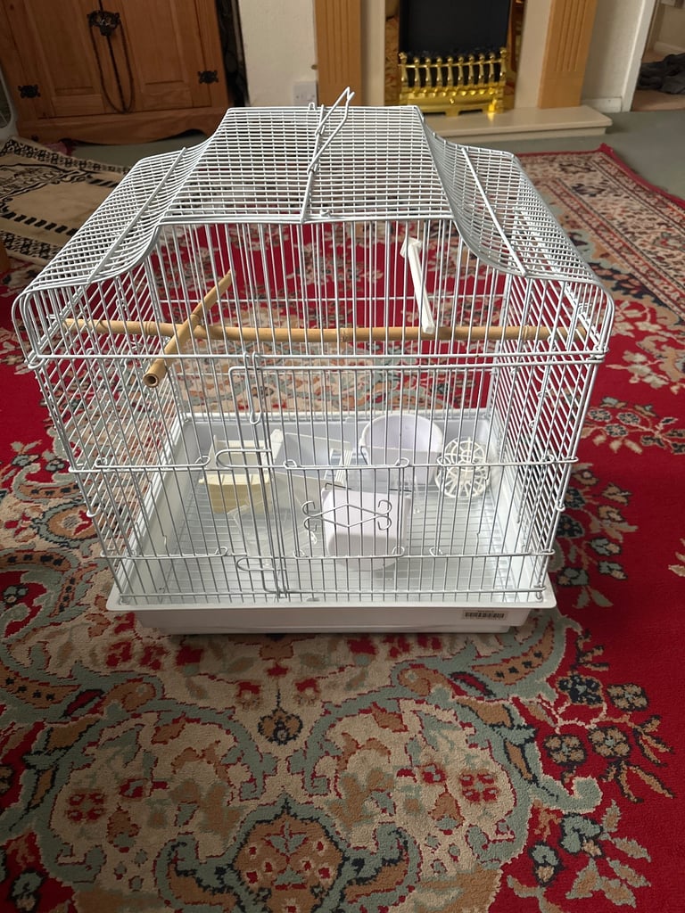 Birds cage
