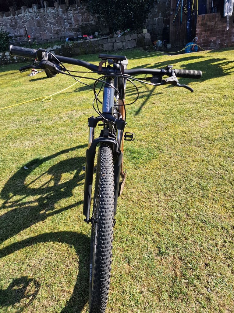 Giant electric bike
