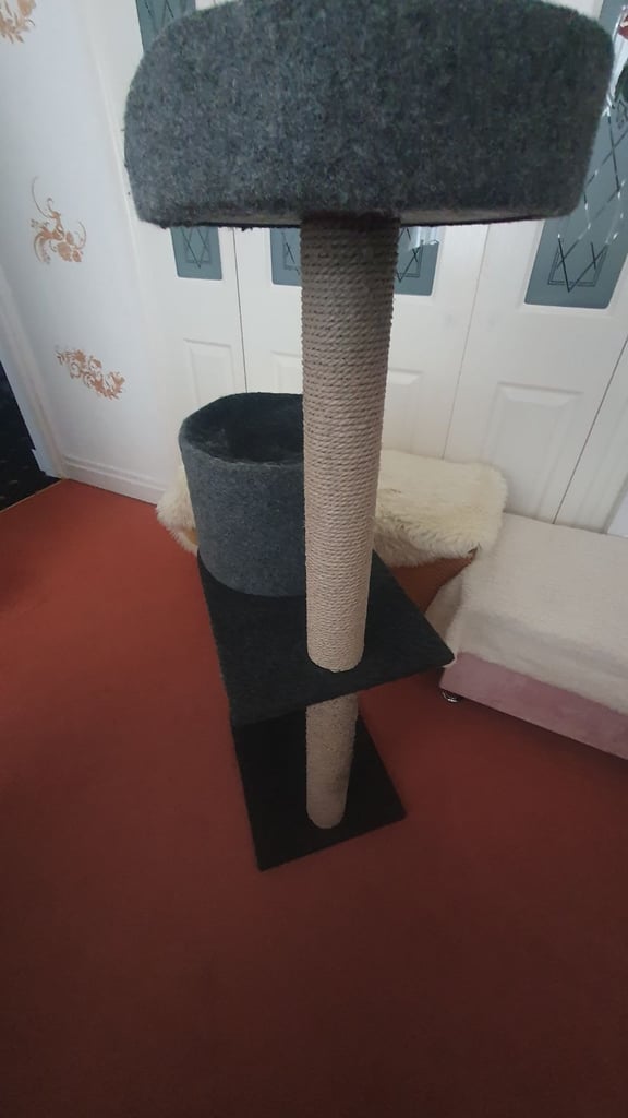 Cats Scratching Post
