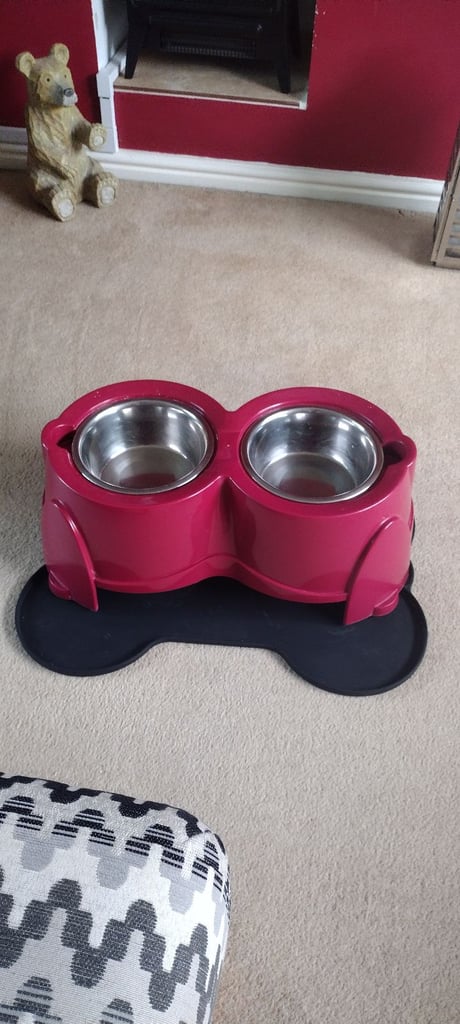 Raised dog feeder bowls and mat 