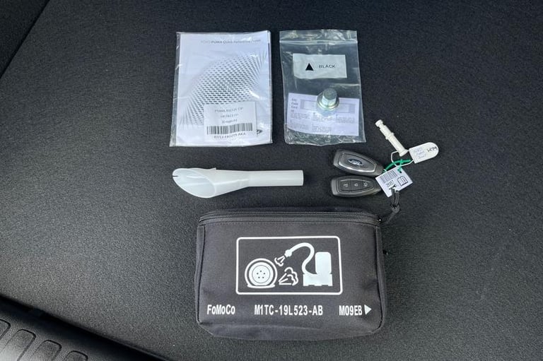 2025 Ford Puma 1.0 EcoBoost Hybrid mHEV ST-Line X 5dr HATCHBACK PETROL Manual