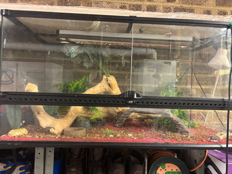 Lizard/snake vivarium  