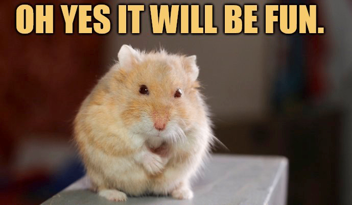 image for Gig Meetup Group in LONDON