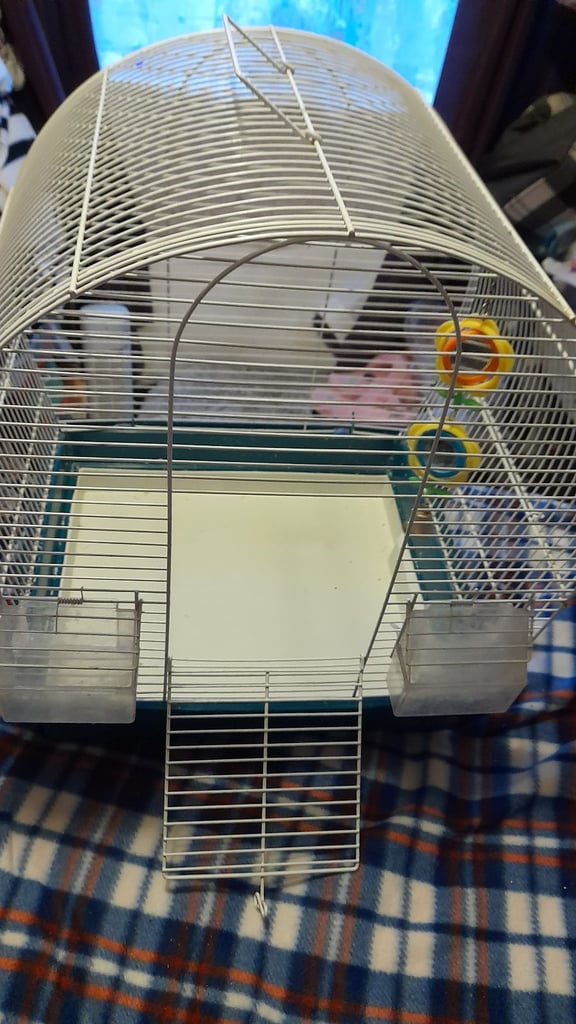 Birds cage