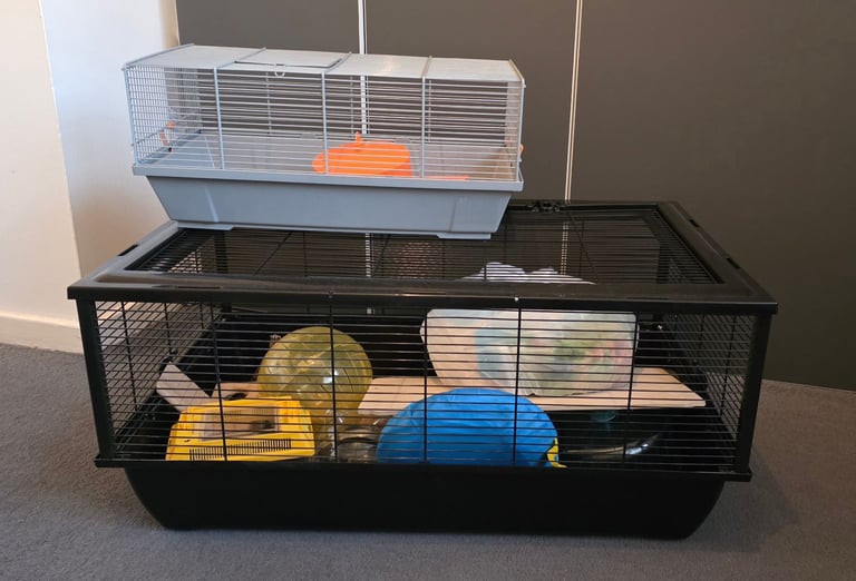 Large and Small Hamster Cage - Set of 2