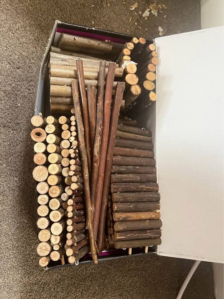 SOLD Rodent Hamster Rat Gerbil Mouse Accessories