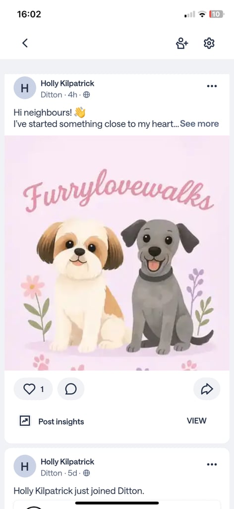 image for 🐶Furrylovewalks - Local dog walking & pet sitting 🩷