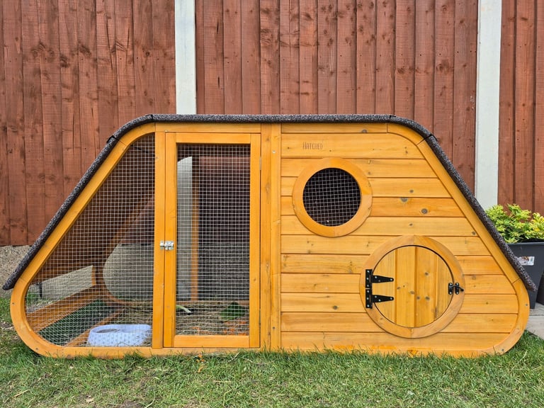 ​Pair of Adorable 14-Week-Old Rabbits with Luxury Hatched® Noah's Ark Hutch - Full Set-Up!