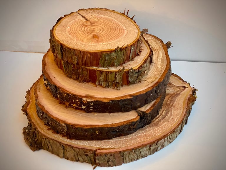 10 Pack 8 10 Cm Wood Slices 3 4 Inch Wood Slices Wood Burning Rustic  Wedding Wood Slices Wood Slice Coasters Pyrography Wood 