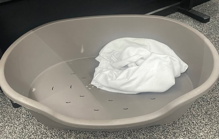 image for Large dog bed