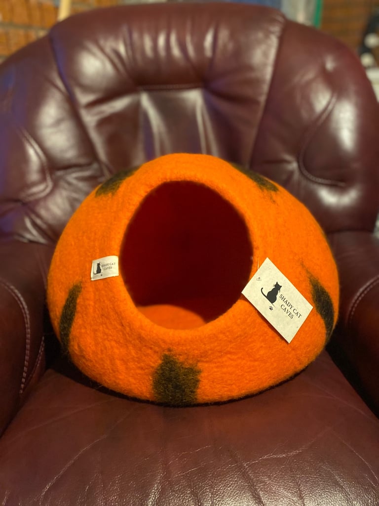 🎃 Pumpkin Patch Cat Cave