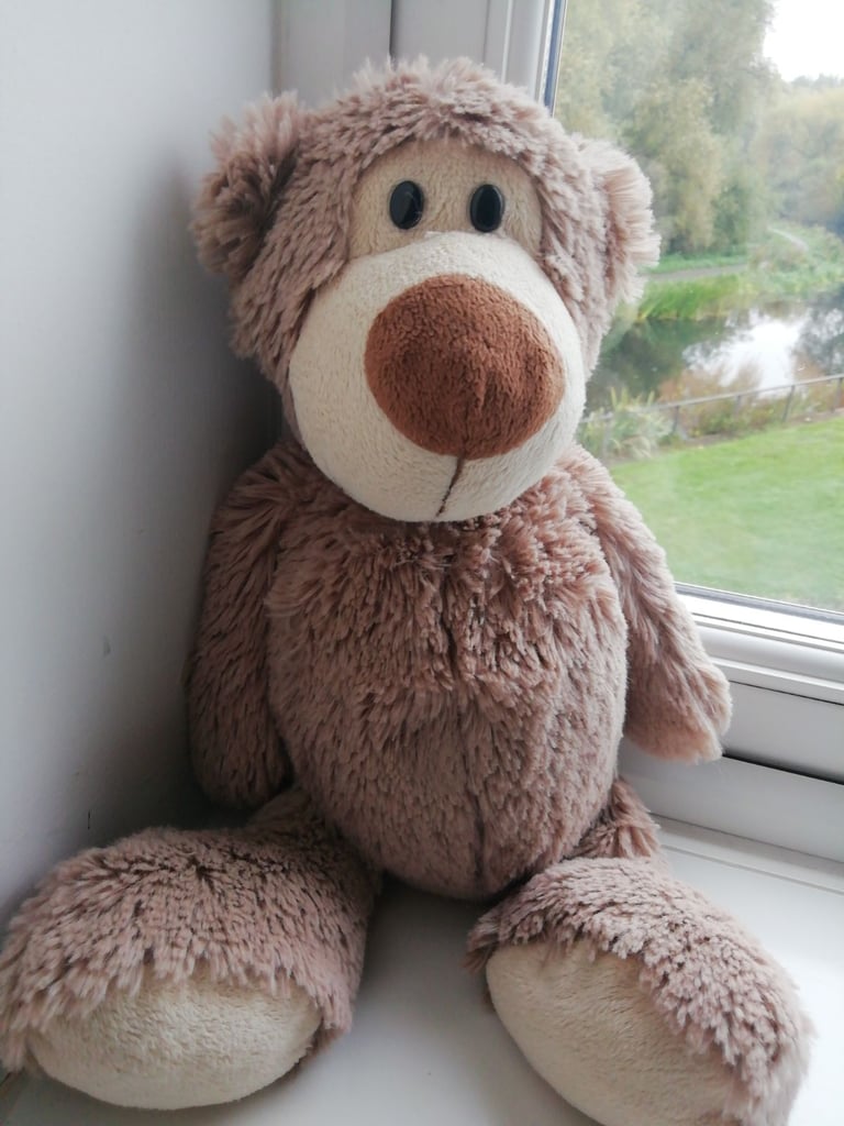 image for BEAR SOFT TOY 
