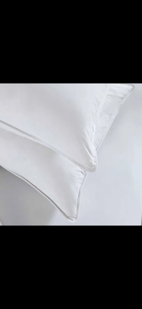 Pair of Duck Feather & Down Pillows