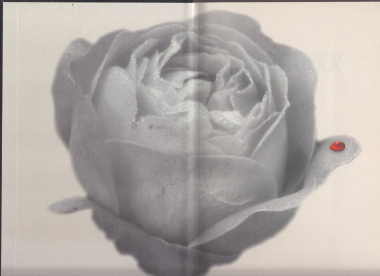 Two Stephen King Books. Wolves of the Calla, Rose Madder.