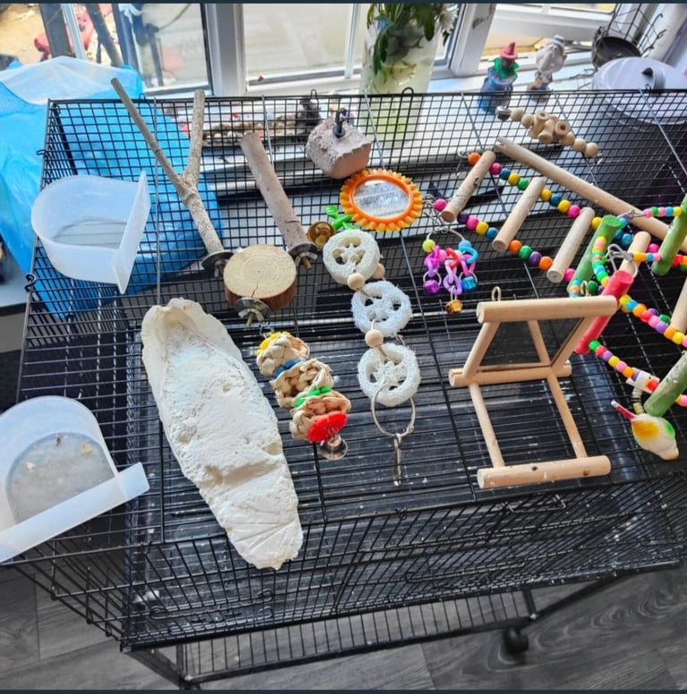 Budgie cage and stand