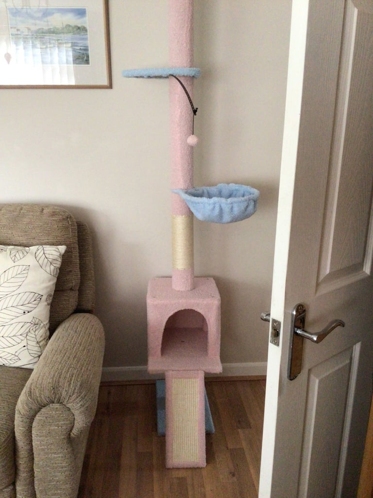 Cat / Kitten Floor-Ceiling Activity Tree. 