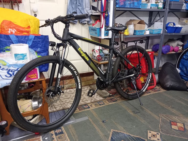 Electric mountain bike