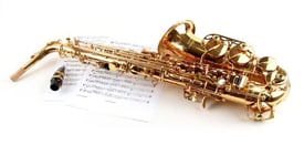 Wanted an alto sax player and other instruments for Monday Afternoon Band - Redland 