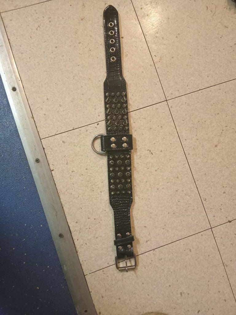 Brand new dog collar