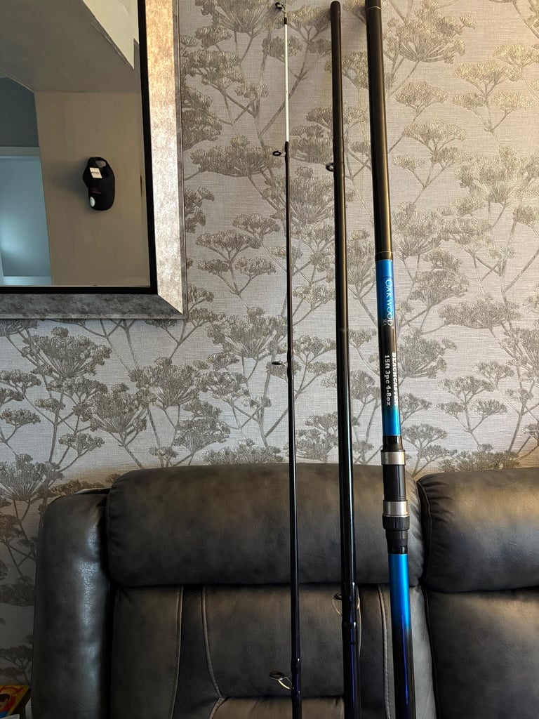 image for Sea fishing rod 