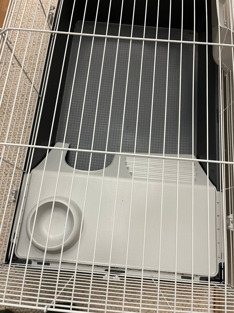 Guinea pig cage