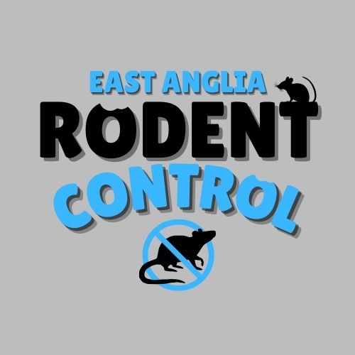 Rodent Control East Anglia 