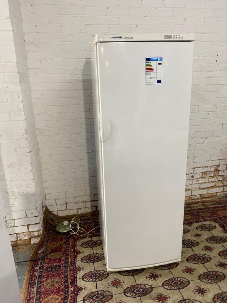 image for TopBrand Full Size Liebherr Frost Free Standing Freezer