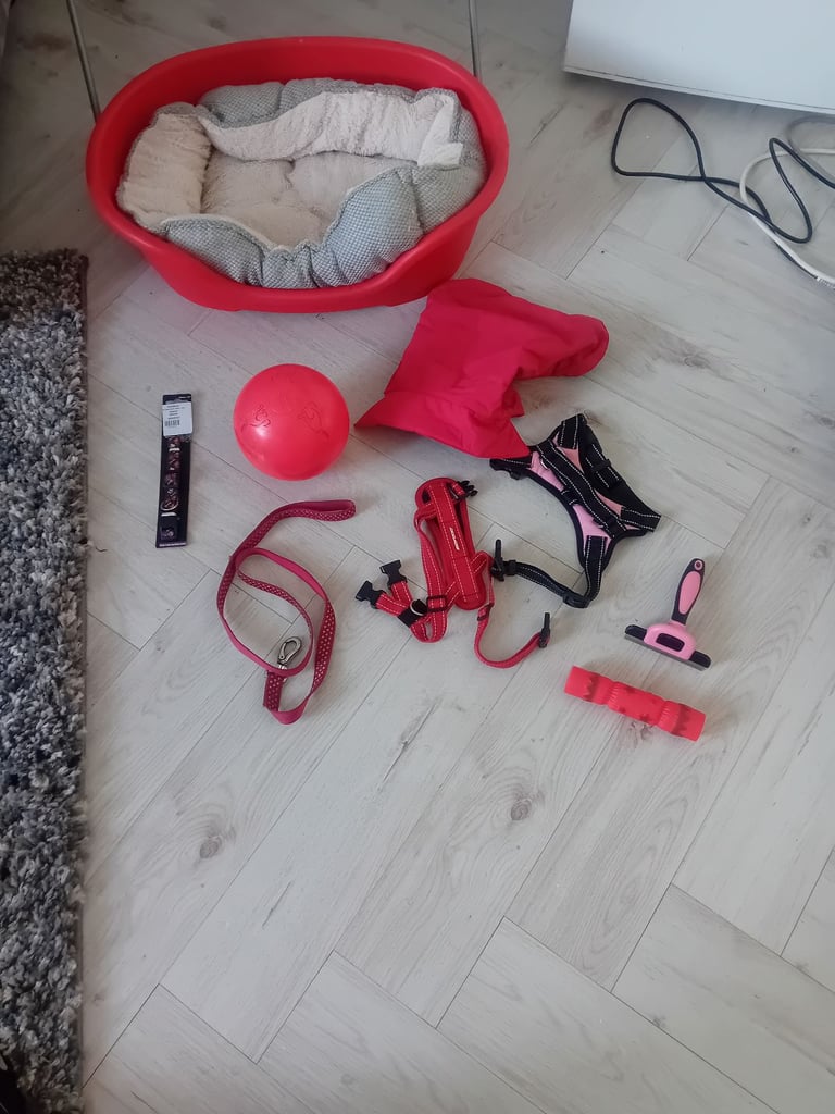 Small dog bed and accesories