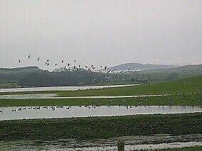 WANTED PARCEL SHELF FOR A FORD C MAX CAR 2011