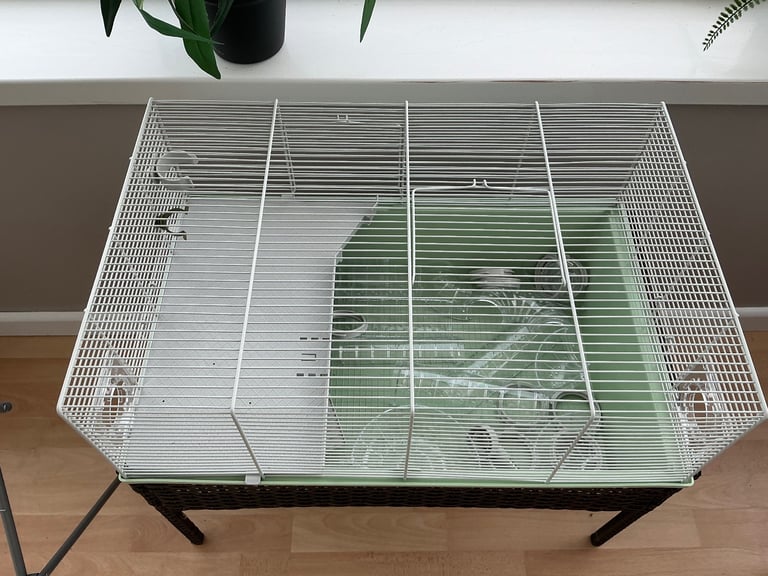 Pets at home habitat one dwarf hamster and mouse cage with tube set sage green