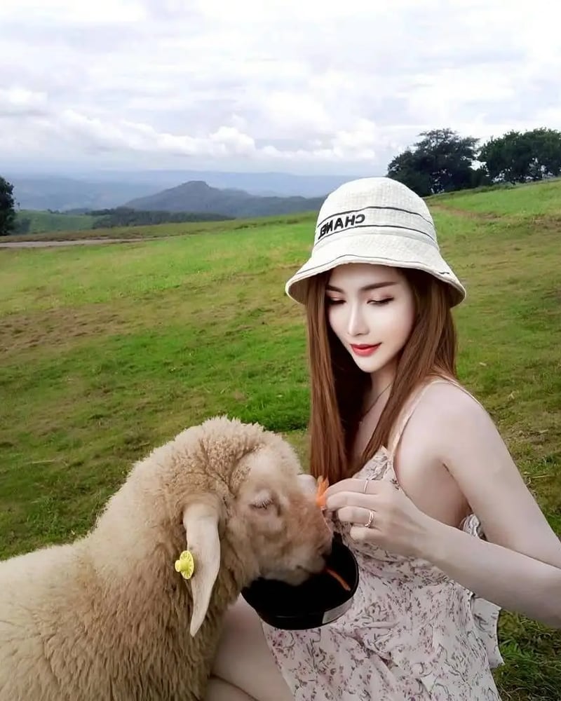 ภาพโปรไฟล์ของ กุชชี่ - รูปที่ 4