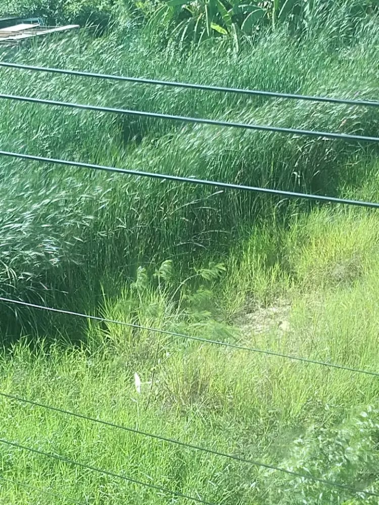 ภาพโปรไฟล์ของ แซนดี้ - รูปที่ 4