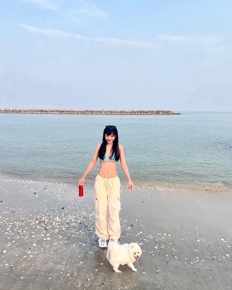 ภาพโปรไฟล์ของ แชมเปญ - รูปที่ 4